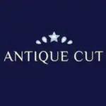 antique cut profile picture