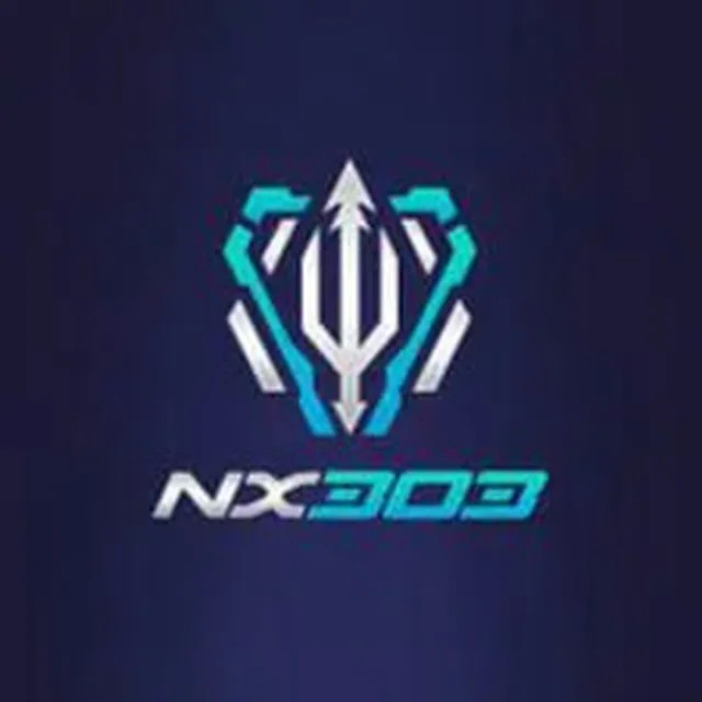 nx303 nx303 Profile Picture