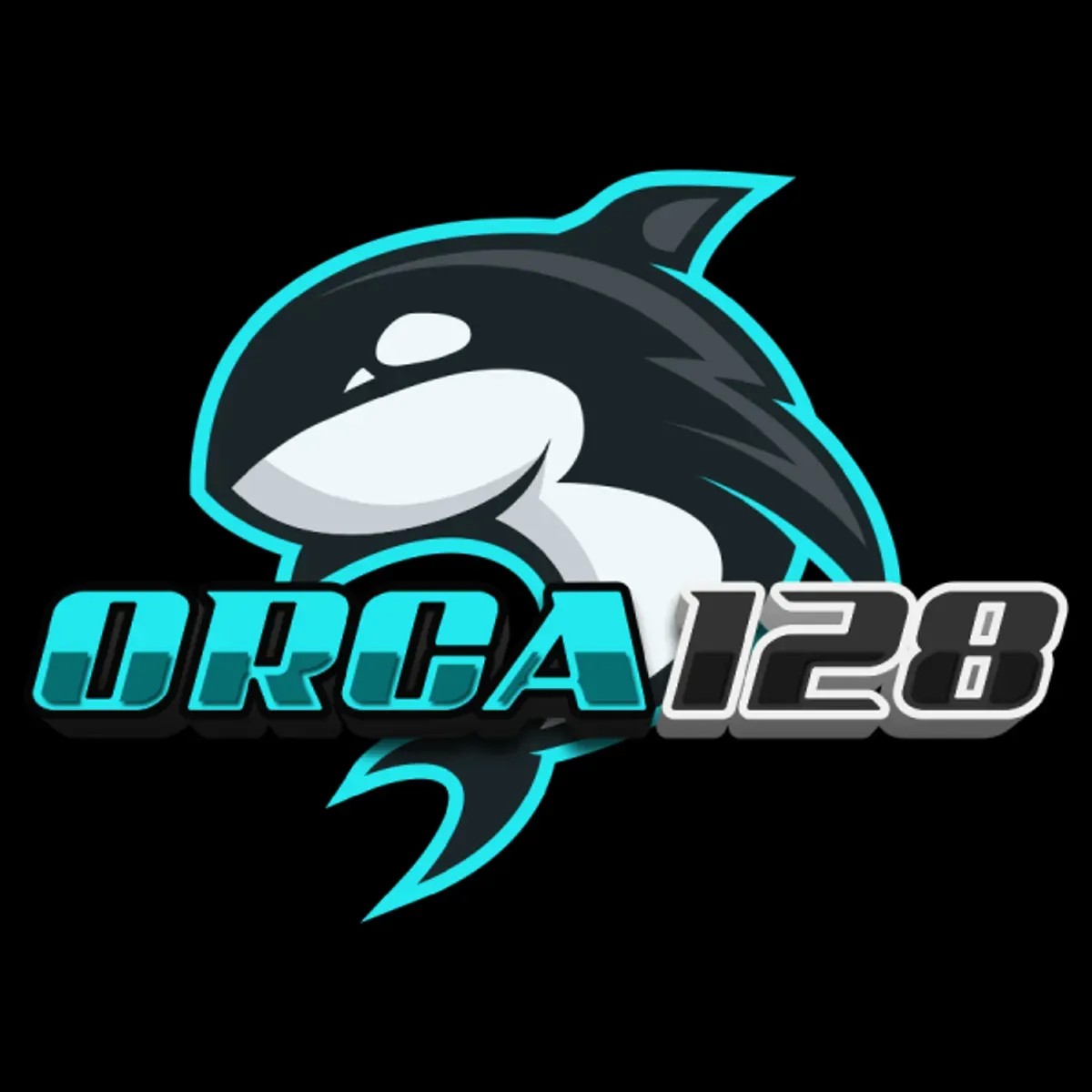 orca128 orca128 Profile Picture