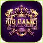v9game v9game Profile Picture