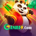 ganha9 ganha9 profile picture