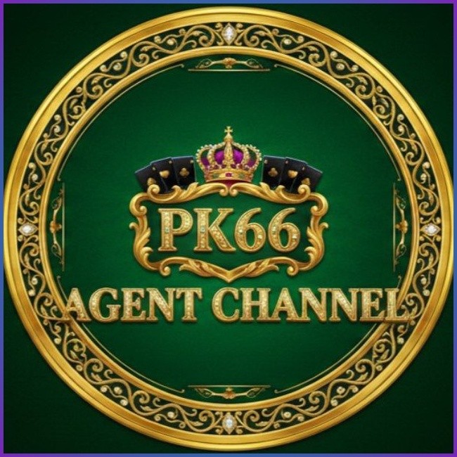 pk66 pk66 Profile Picture
