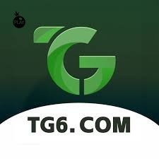 tg6 tg6 Profile Picture