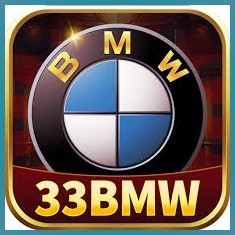 33bmw 33bmw Profile Picture