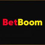 betboom betboom Profile Picture