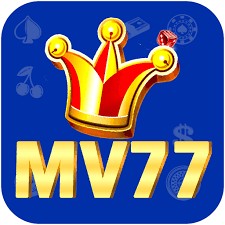 mv77 mv77 Profile Picture