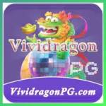 vividragonpg vividragonpg Profile Picture