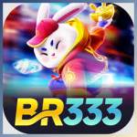 br333 br333 Profile Picture
