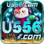 u556 u556 Profile Picture