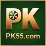 pk55 pk55 Profile Picture