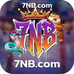 7nb 7nb profile picture
