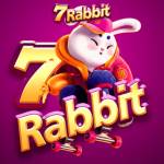 7rabbit 7rabbit Profile Picture