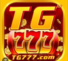 tg777 tg777 Profile Picture