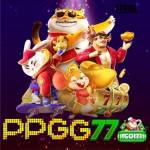 ppgg77 ppgg77 Profile Picture