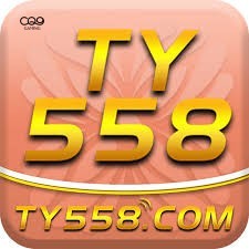 ty558 ty558 Profile Picture