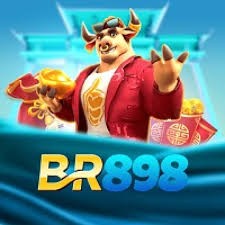 br898 br898 Profile Picture