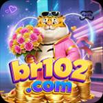 br102 br102 Profile Picture