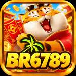 br6789 br6789 Profile Picture